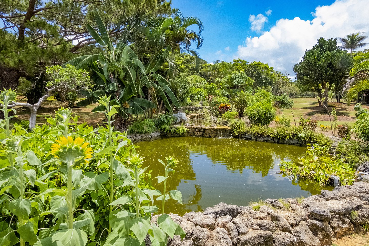 🌿 미야코지마 시립 열대식물원 (미야코지마시 넷타이 쇼쿠부츠엔) 이미지 3